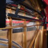 2018 Perfect Steinway Grand 2018 Perfect Steinway Grand
