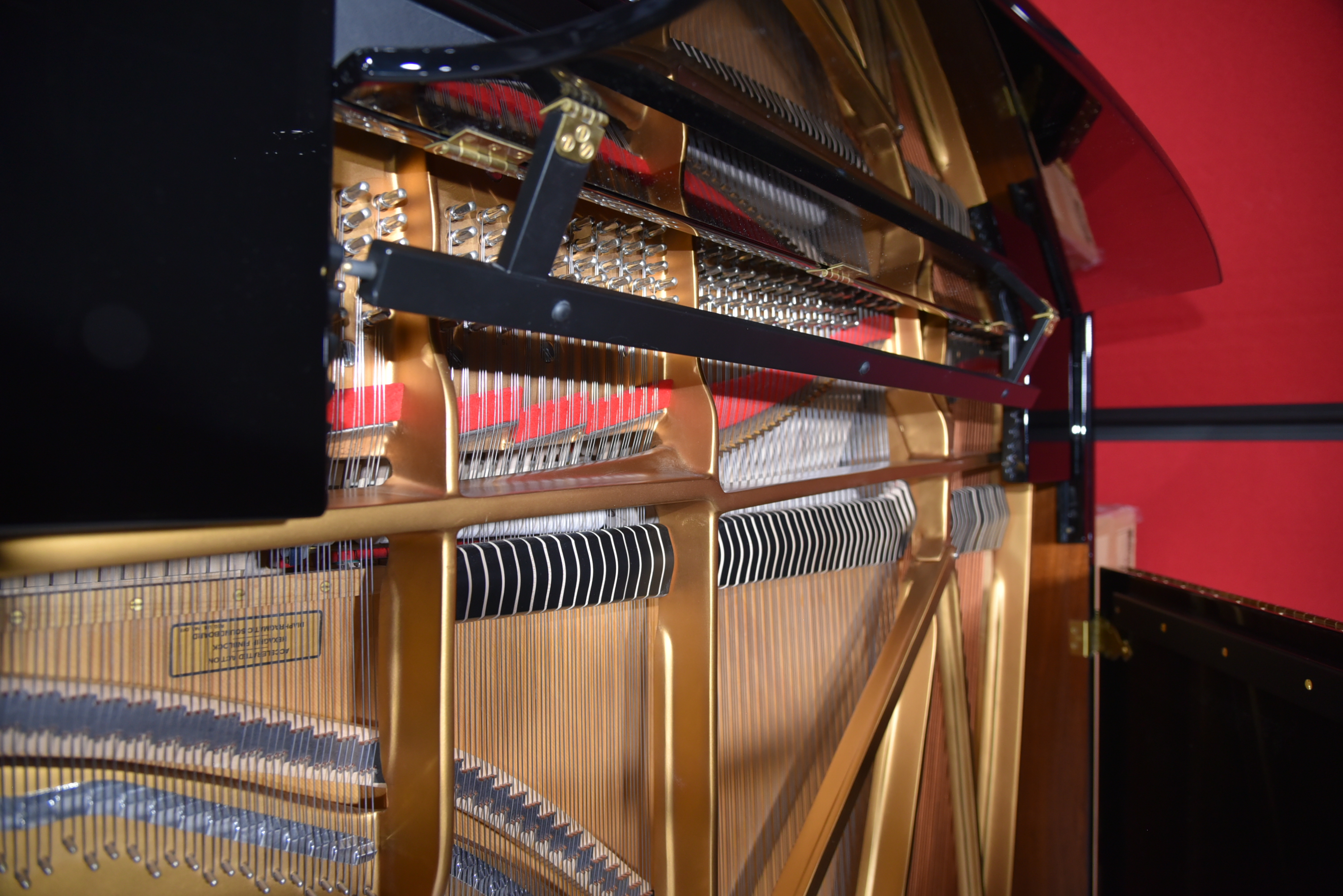2018 Perfect Steinway Grand