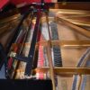 2018 Perfect Steinway Grand 2018 Perfect Steinway Grand