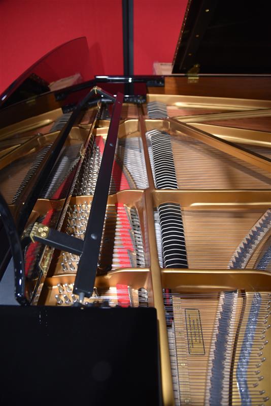 2018 Perfect Steinway Grand