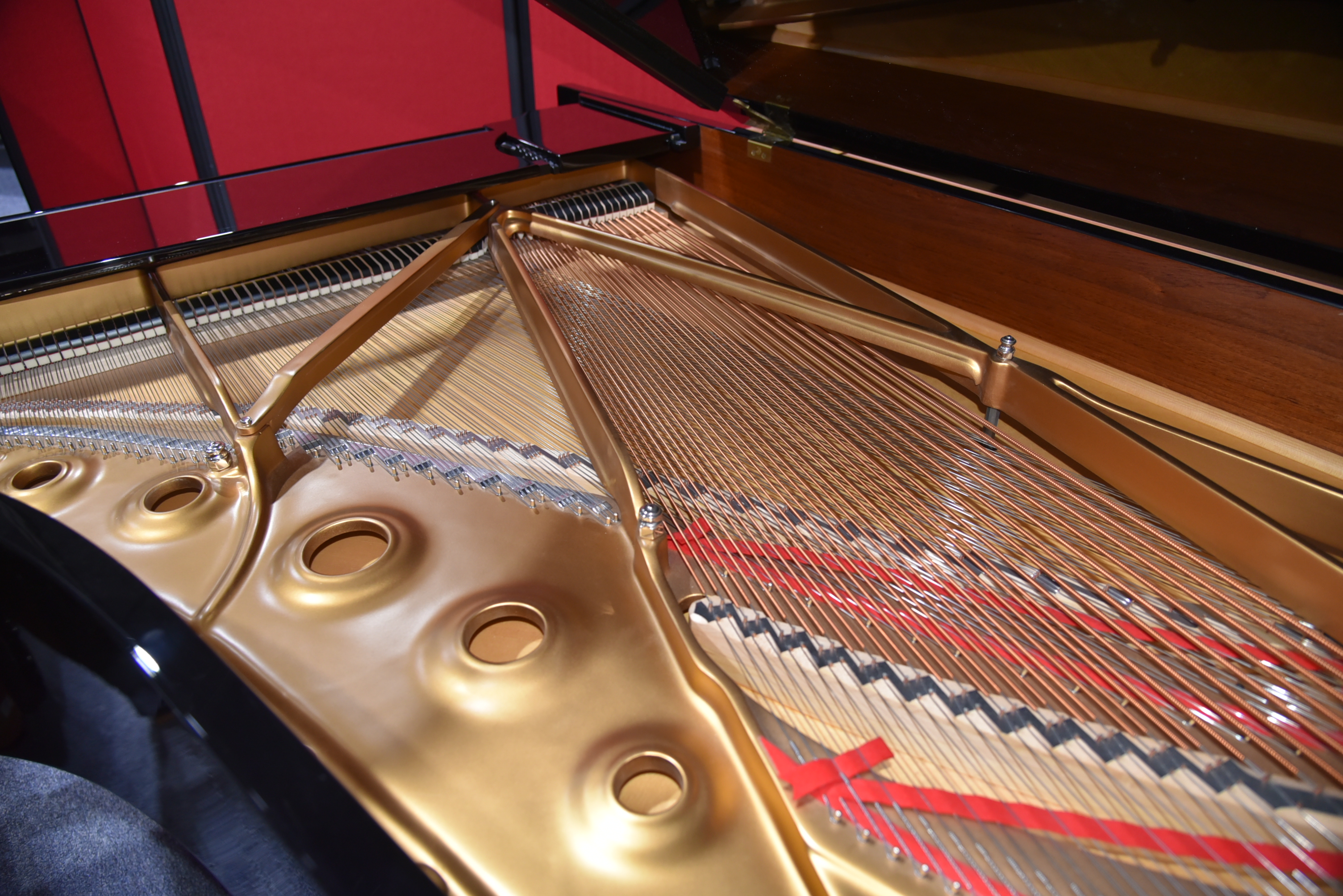 Concert Pianos Steinway B