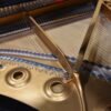 Grand Steinway B 2022 Grand Steinway B 2022