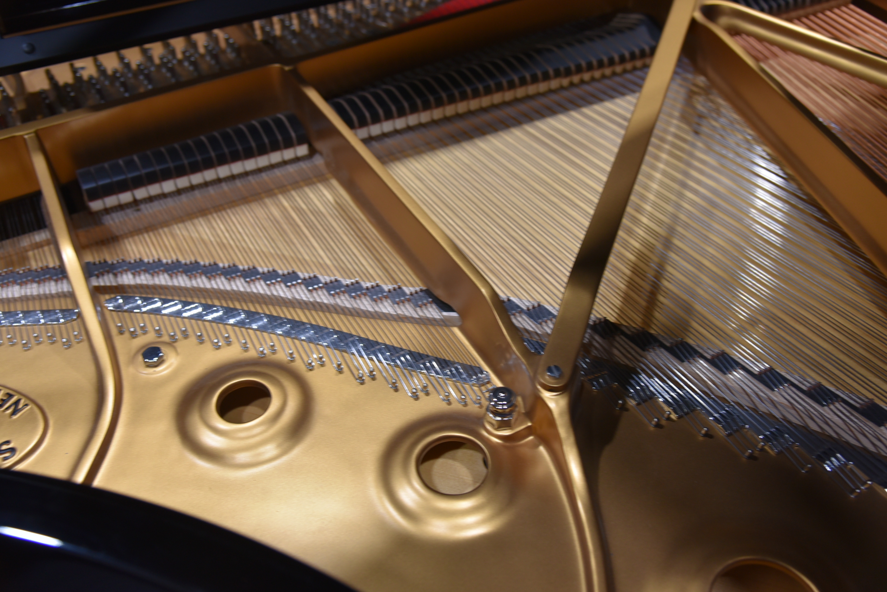 Grand Steinway B 2022