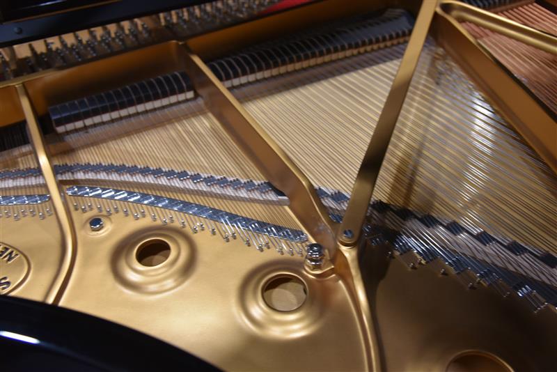 Grand Steinway B 2022