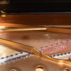 Model B Steinway Model B Steinway