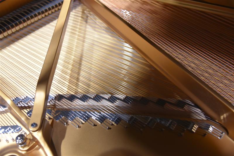 Steinway 2022 Concertpianos