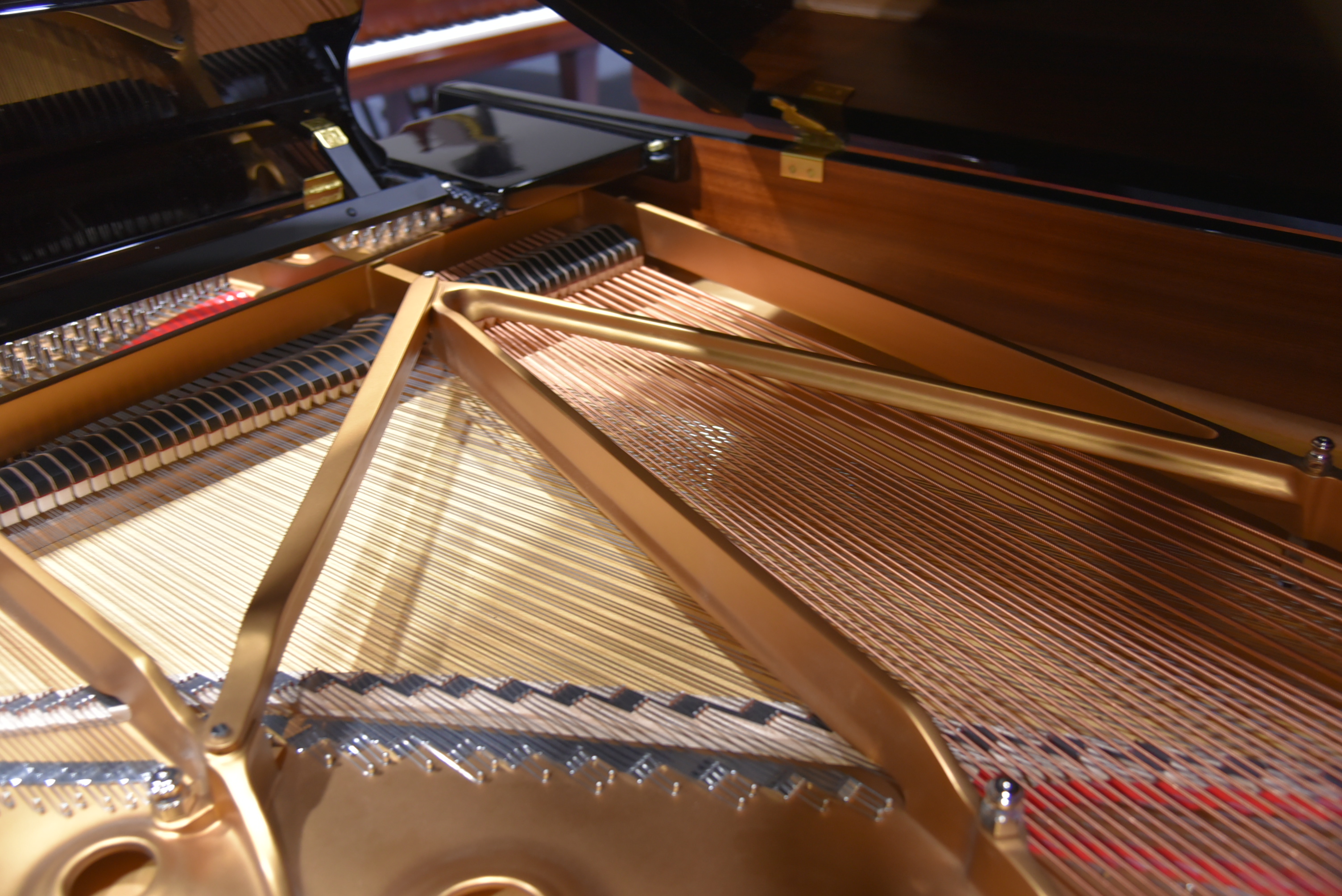 Steinway Grand B 2022