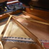 Steinway Grand B 2022 Steinway Grand B 2022