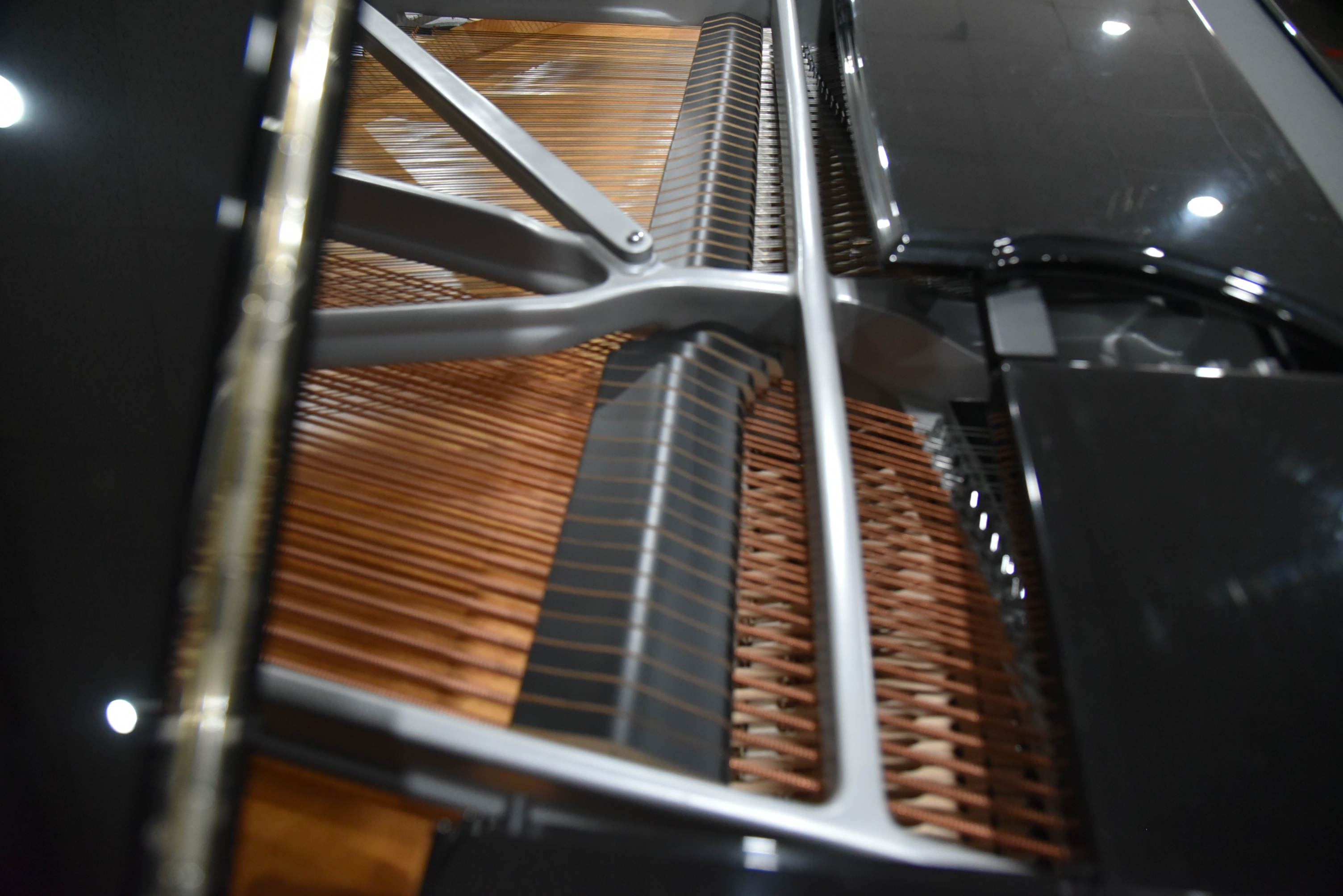 Steinway Grand Model B