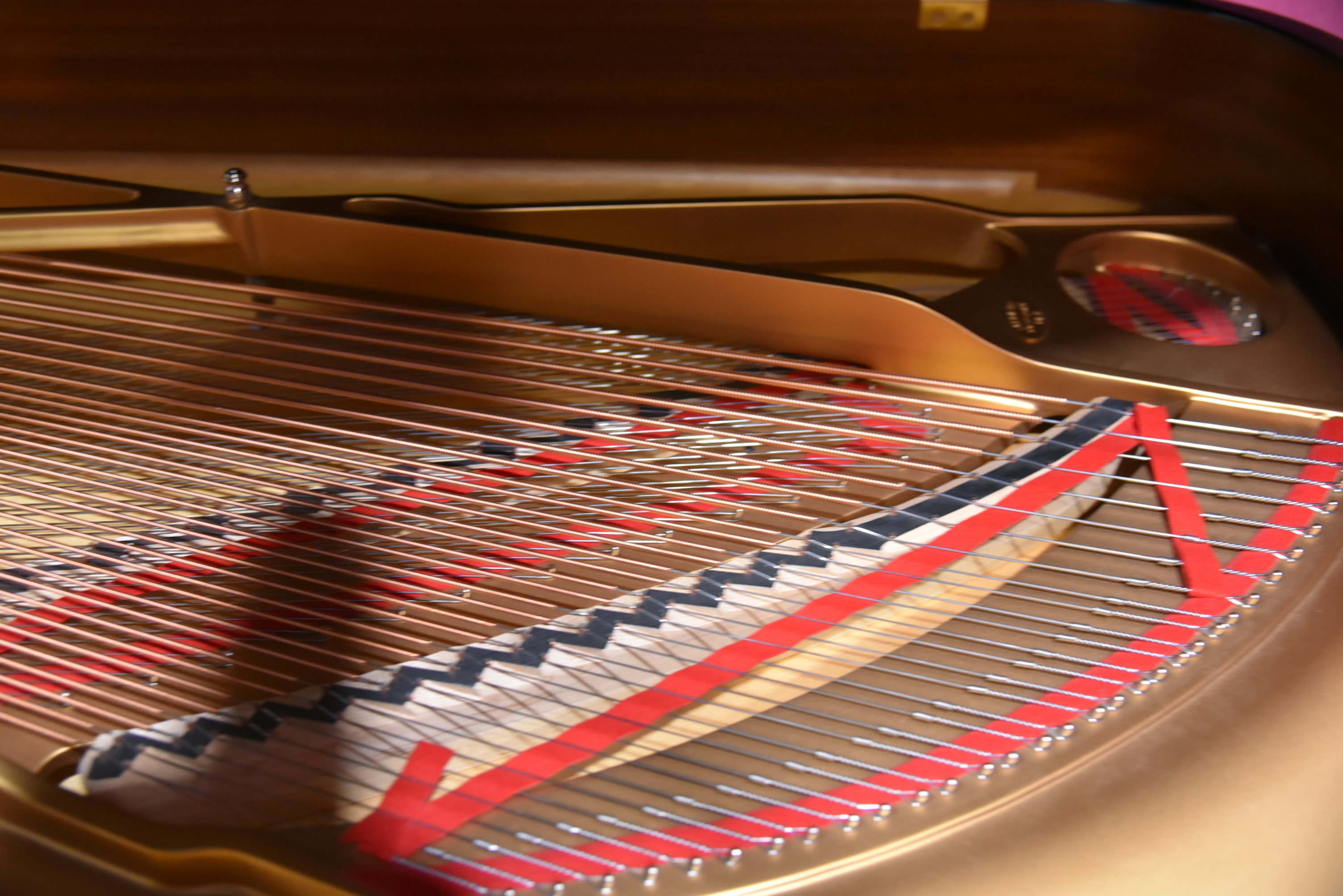 Steinway & Sons Model B 2022