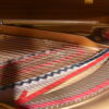 Steinway & Sons Model B 2022 Steinway & Sons Model B 2022