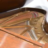 B dfwpiannogallery Steinway