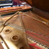 B model Steinway