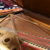 Concert Pianos Dallas Texas B Steinway