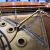 Steinway Grand Walnut