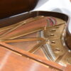 Steinway Model B dallas Texas