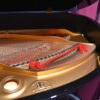 Steinway Grand Custom Steinway Grand Custom