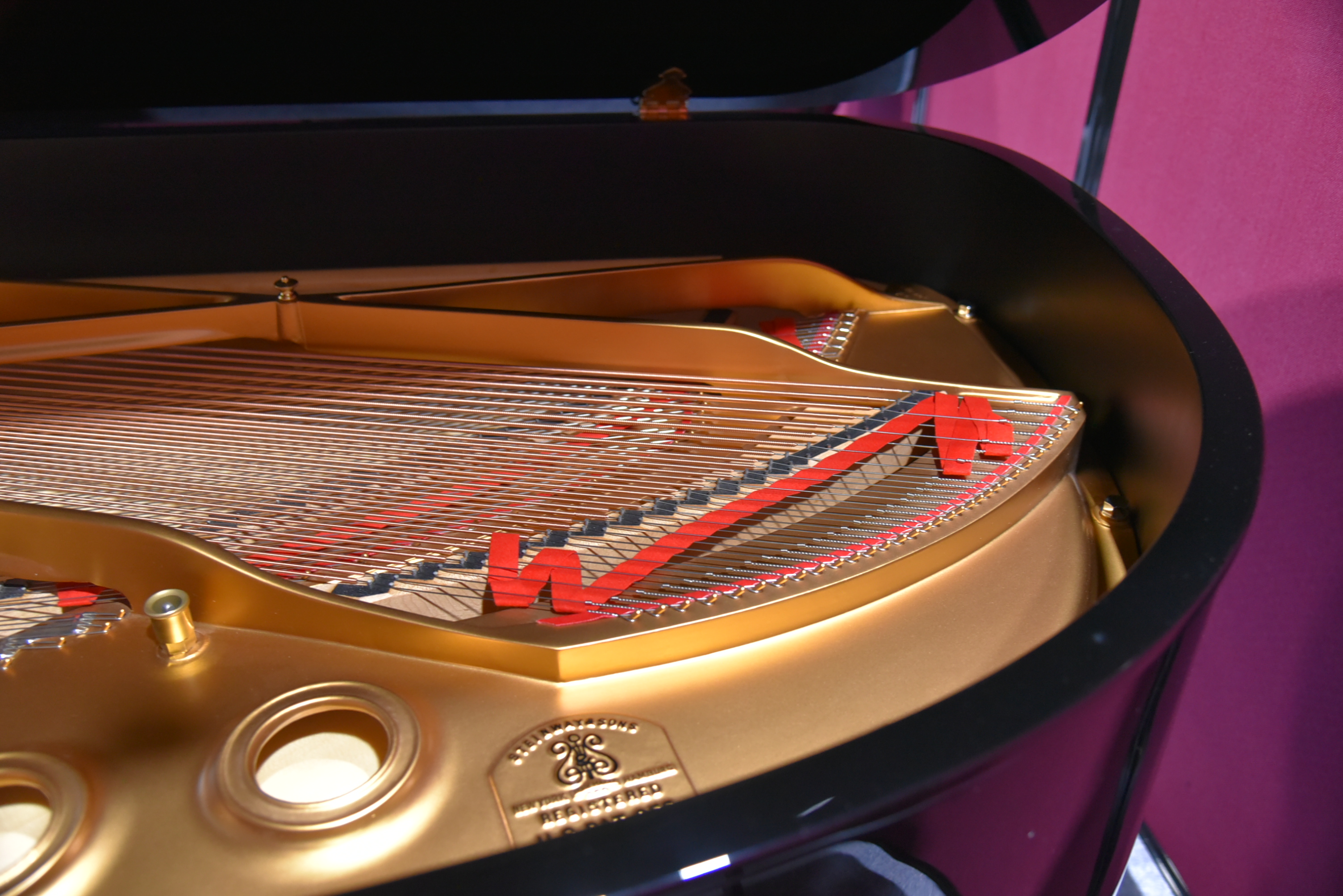 Steinway Grand Custom